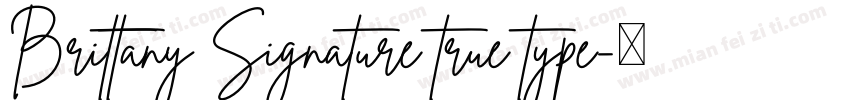 Brittany Signature true type字体转换